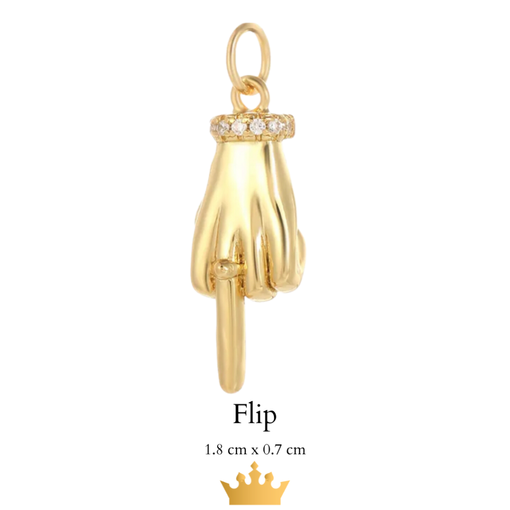 Charm Earrings